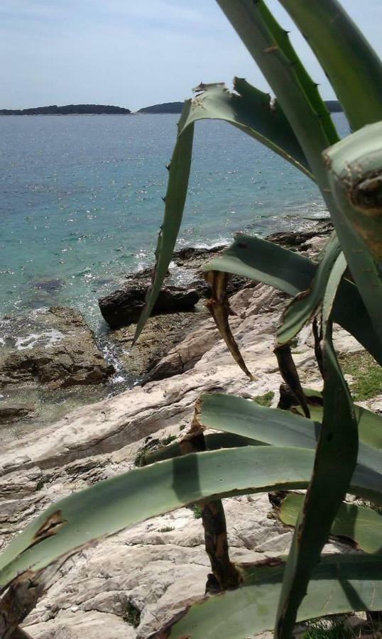 Liza'S Downtown Apartment Hvar Town Dış mekan fotoğraf